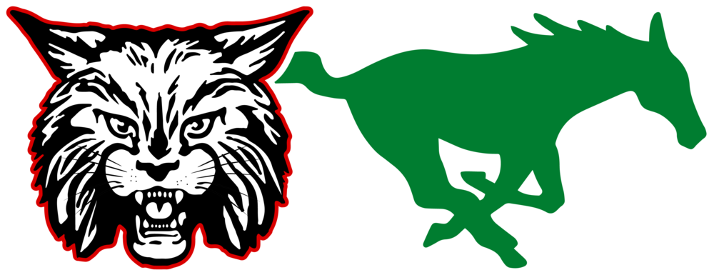 district logo
