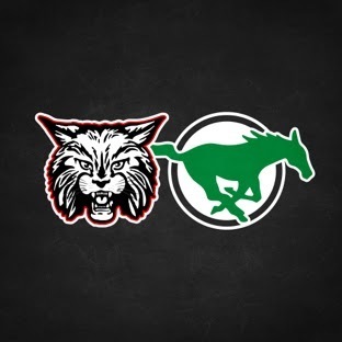 Ferndale High School and Ferndale Elementary School Logos