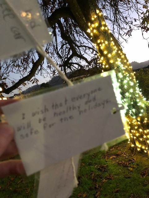 Image of a wish on Wishing Tree