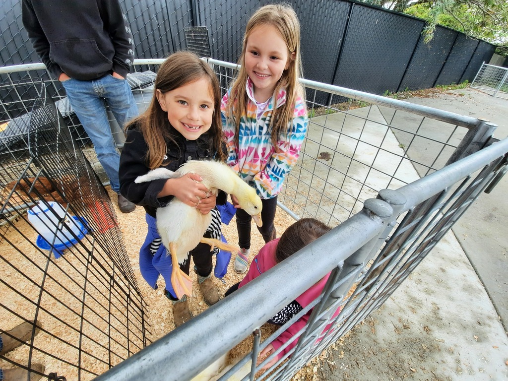 Image of kids at Ag Day