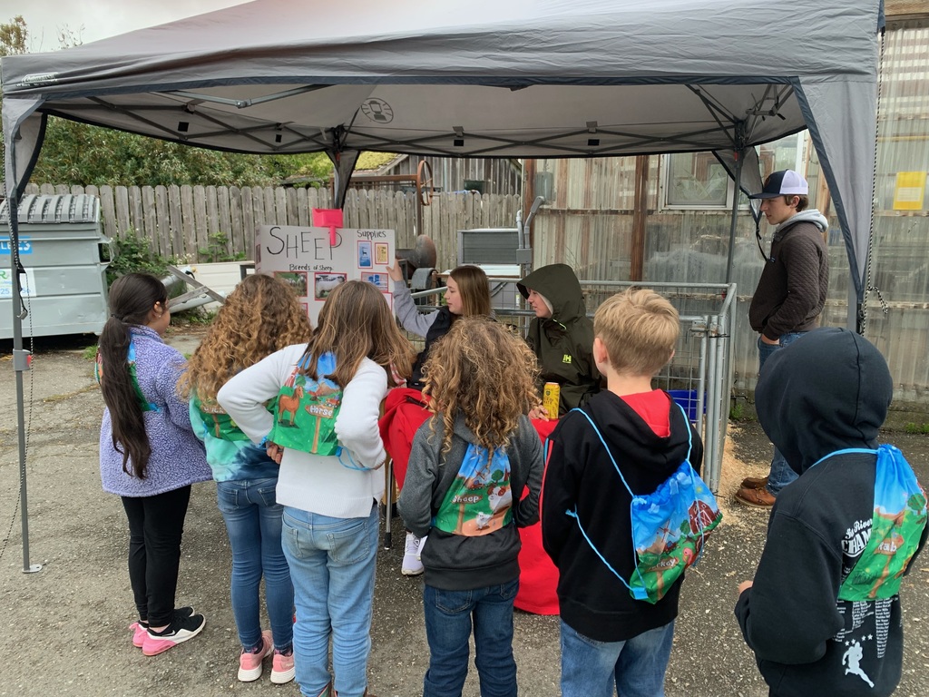 Image of 3rd Grade at Ag Day
