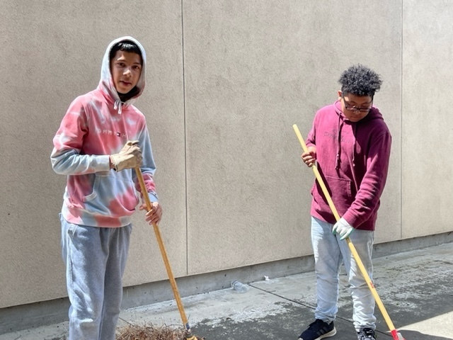 Image of Clean up day