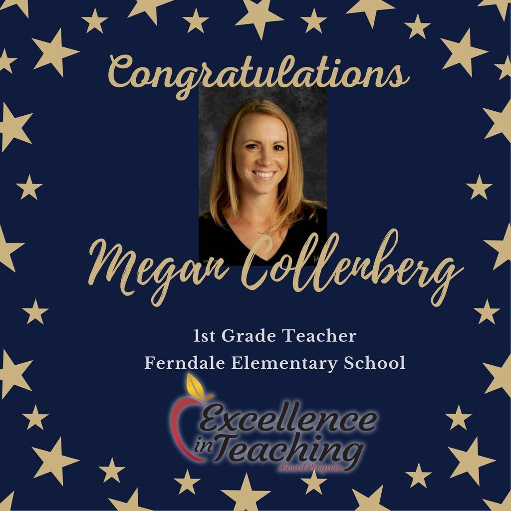 Teacher in Excellence